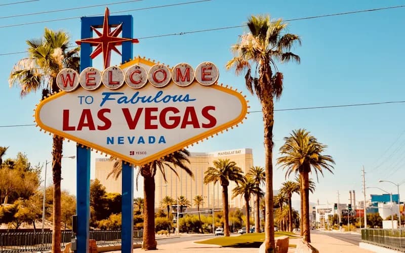 What Makes a Good Las Vegas Party Bus Rental?